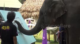 'Clever' elephant creates artwork with her trunk