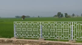 Green World