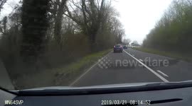 Escaped pig rounded up by the Police on the A36 near Bath Somerset