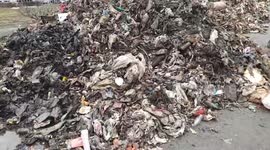Mountains of rotting waste dumped on the road in Moscow. Part 2