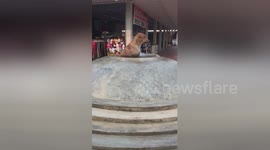 Clever dog cools off in water fountain on hot day