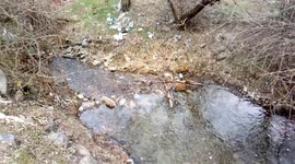 Nature pollution lake landscape 3