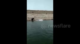 Long version - Bear mauls a forest officer after chasing him down in Telangana