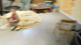 Alaskan Malamute Sojou Claims tent as Play Den