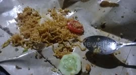 i found insect in my fried rice