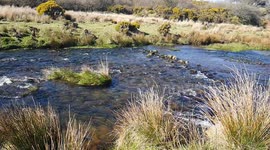 Cadover on dartmoor  river plym . Dartmoor Devon uk