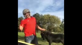 The Art of the Head-BUTT