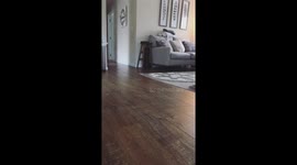 Three year old speeds on her rider toy spins out and shows off her cute face and sass.