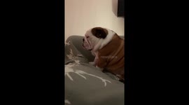 I do not need to lay down to sleep, I do not need to lay down to sleep. Grandad makes sleeping sat up look so easy! https://t.co/RvMV85SVHl