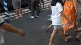 Doggy Knows When To Cross The Street