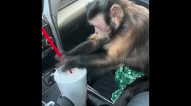 I'll Help Myself to Your Drink!