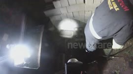 Puppy Rescued in a race against the Rain