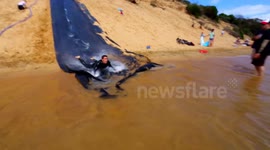 Impressive huge Slip ‘N Slide ramp