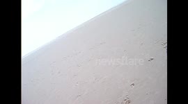 DOGS  BLACKPOOL!!!!!