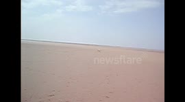 DOGS  BLACKPOOL!!!!!