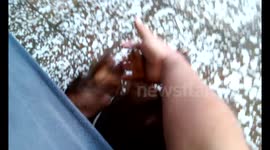This little dachshund almost speaks!!
