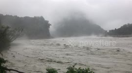 Tree floating down flooded river
