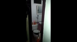 King Cobra caught inside family's toilet