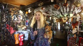 Inside the 'most unusual pub in the UK, which has a carriage for a doorway and is home to a sunken galleon.