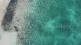 Stunning drone footage of swimmer enjoying Bahamian waters