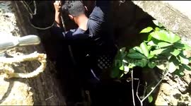 Rescuer risks his life to save deadly snake from dying in well