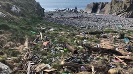 Marine plastic pollution in Clanghie Bay, Scotland