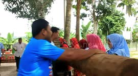 Traditional sugar production in Indonesia uses tree trunks to grind the cane