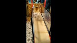Dog on treadmill at doggy gym