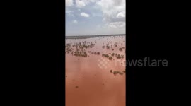Aerial footage shows flood-ravaged Western Australia region