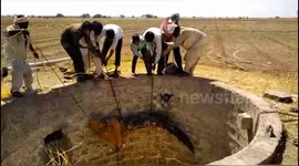 Team of villagers fish crocodile out from 30-foot drywell in west India