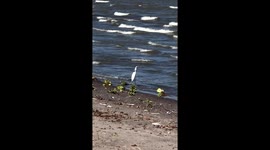Lake Nicaragua