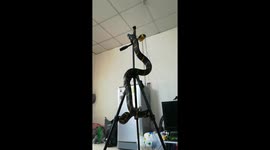 Pet mangrove snake slithers up camera tripod thinking it's a tree