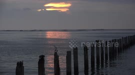 A tranquil ocean sunset and bird.