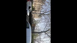 Live footage of brexit protest in London outside houses of parliament