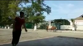Russian makes incredible volley through cow's legs