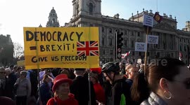 Thousands of Brexiters gather in London for March to Leave finale