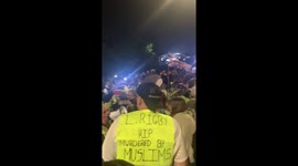 Kicking off at the Yellow vest Brexit protest in London