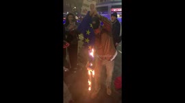 Pro-Brexit protesters burn EU flag in Trafalgar Square