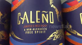 Non-alcoholic spirits at Sainsbury’s