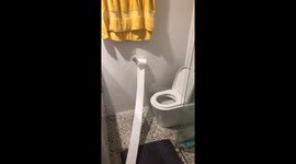 Puppy toilet roll