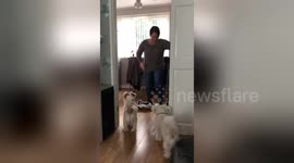 UK grandmother wipes out on hoverboard