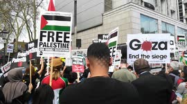 Palestinian protest in London, demanding freedom for Palestine