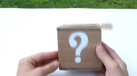 How to Make Box With a Surprise | Jack in the Box | How to Make Magix Box | Kids DIY