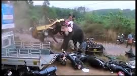 Elephant goes on destructive rampage flipping cars and destroying property