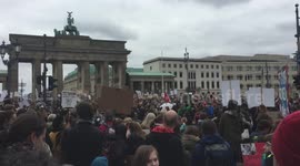 Fridays For Future Protest Berlin at Brandenburg Gate