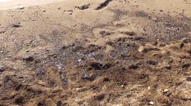 Tragic Oil Spill Greece Summer 2017 Ecological Disaster (Uncut) Day 2