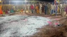Terrifying moment woman devotee falls while walking on fire