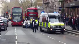 Pro-Brexit supporter blocks traffic on Whitehall in London