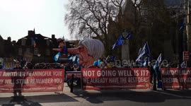 Brexit protest at Westminster