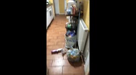 My disgusting student kitchen I hate this place
